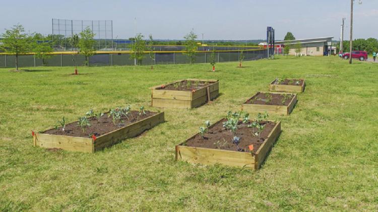 Raised-bed gardening can increase yield, conserve water and cut down on weeds. It presents benefits for people with physical limitations as well. (Photo by Todd Johnson, OSU Agricultural Communications Services)