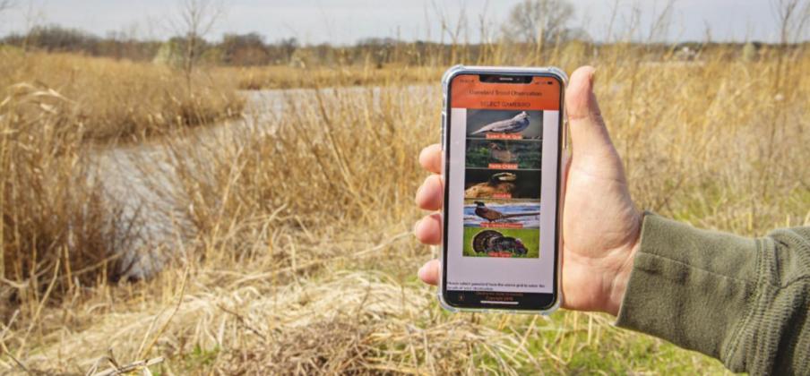 A smartphone app developed at Oklahoma State University helps the Oklahoma Department of Wildlife Conservation provide the public with more accurate hunting forecasts. (Photo by Todd Johnson, Agricultural Communications Services)
