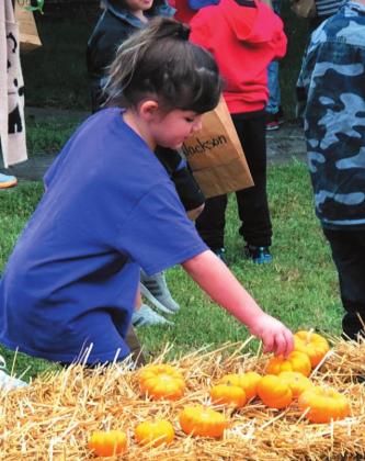Local students travel to pick pumpkins grown in teacher’s backyard