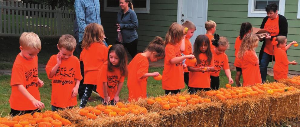 Local students travel to pick pumpkins grown in teacher’s backyard