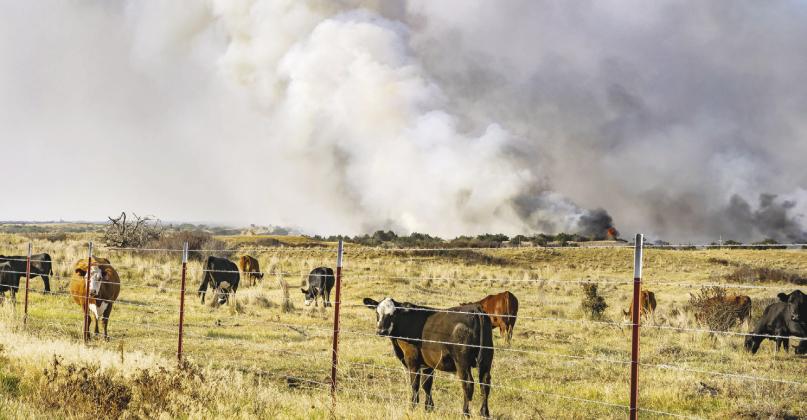 Prescribed fires and controlled burns are common this time of year, but dry, windy conditions can also fuel the unexpected wildfire, threatening livestock and property. (Photo by OSU Agriculture)