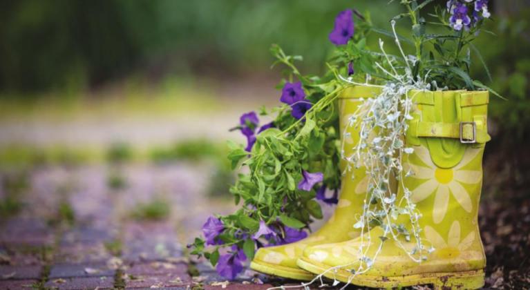 This old pair of rain boots makes an adorable planter that adds whimsy and visual interest to any garden. (Photo by Todd Johnson, OSU Agricultural Communications Services)