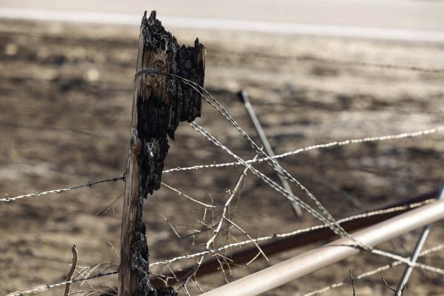 In Ellis County alone, wildfire destroyed more than 300 miles of fence, and another 200 miles will need repairs. (Photo by Mitchell Alcala, OSU Agriculture)