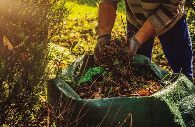 Cleaning up the garden in the fall gives gardeners a head start in the spring. (Photo by Shutterstock)