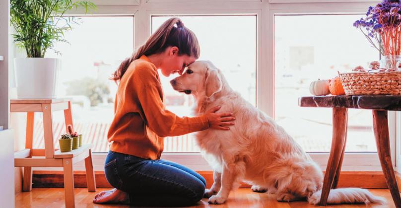 Research shows that pets can enhance and improve the mental and physical health of humans.